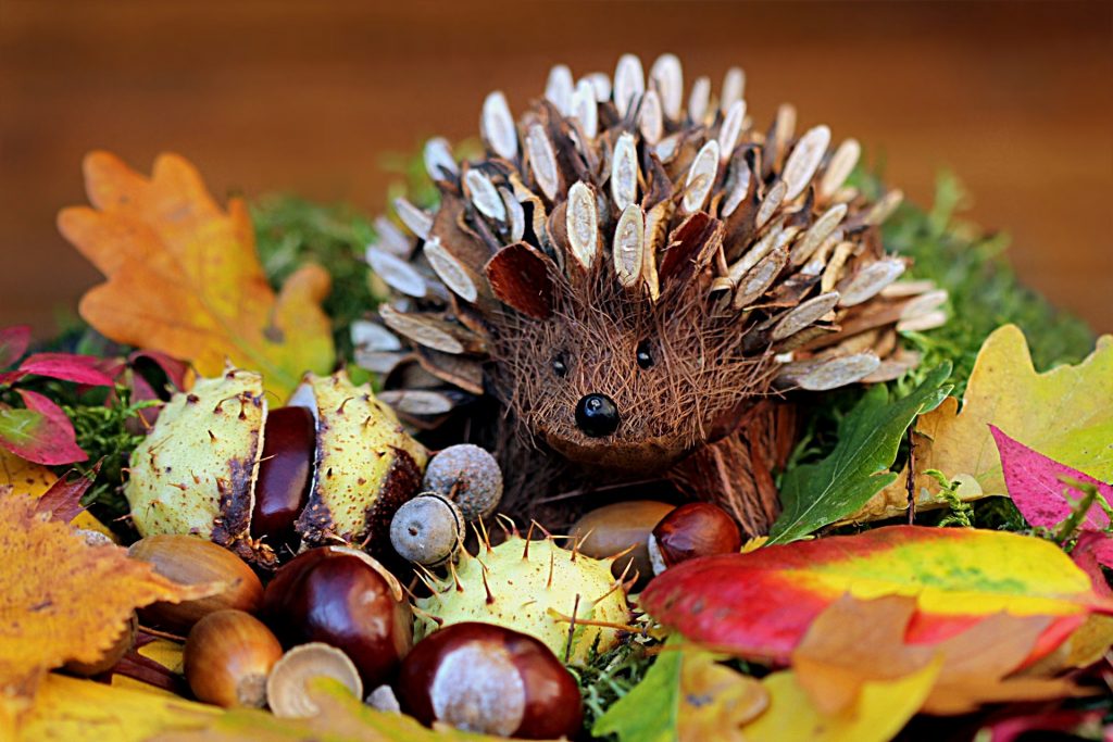 still-life-hedgehog-decoration-herbstdeko